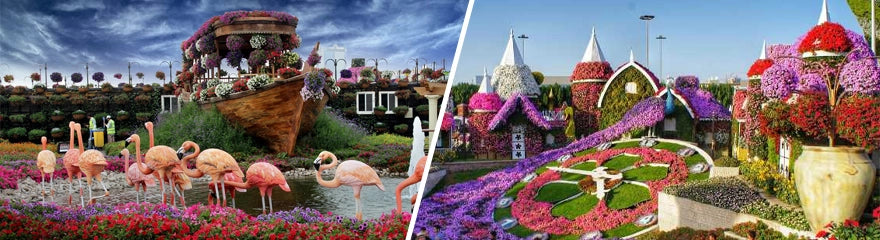 Miracle Garden