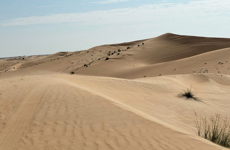 Action-Packed 30-Minute Quad Biking Adventure for One in Abu Dhabi