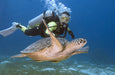 Fujairah Scuba Diving and Snorkeling with Turtles including BBQ Lunch | Adventure at Wondergifts