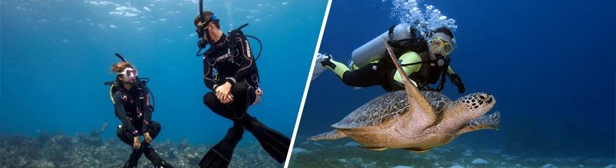 Scuba Diving and Snorkeling